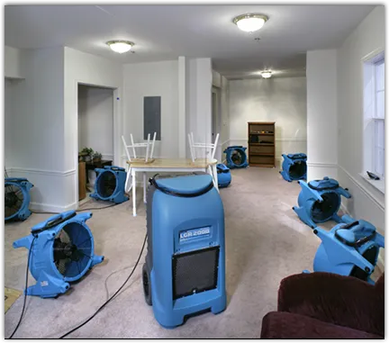 Water Mitigation Services in Menasha, WI