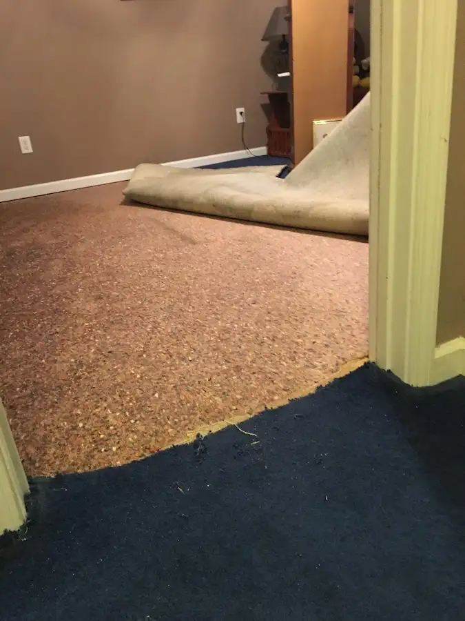 Carpet pad removal revealing water damage during Water Mitigation Services in Menasha
